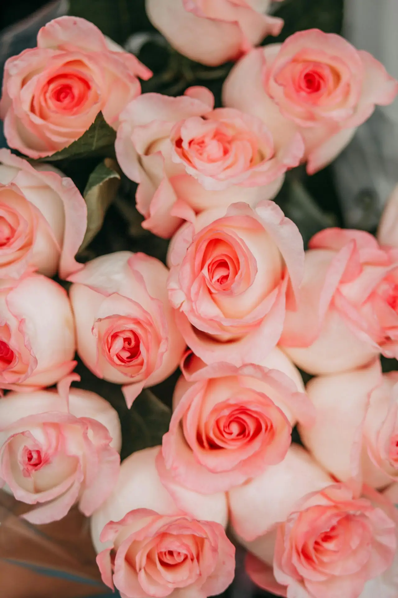 A close-up view of a stunning bouquet of pastel pink roses in full bloom, perfect for floral decor.